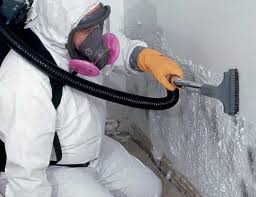 Best Biohazard Mold Removal  in Jones Valley, CA